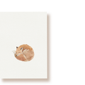 Fuchs | Postkarte