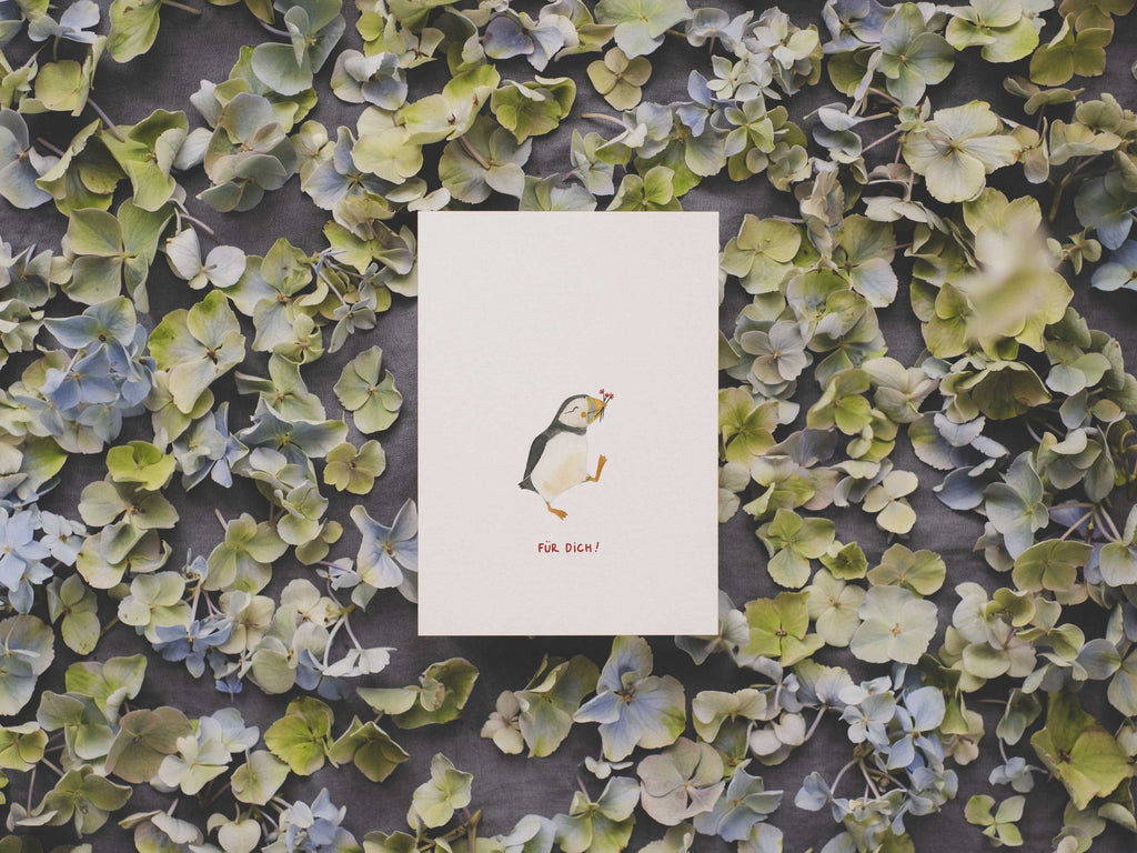 Papageientaucher | Postkarte