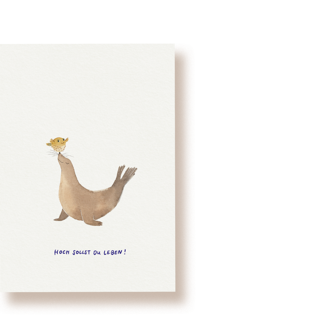 Seehund mit Kugelfisch | Postkarte