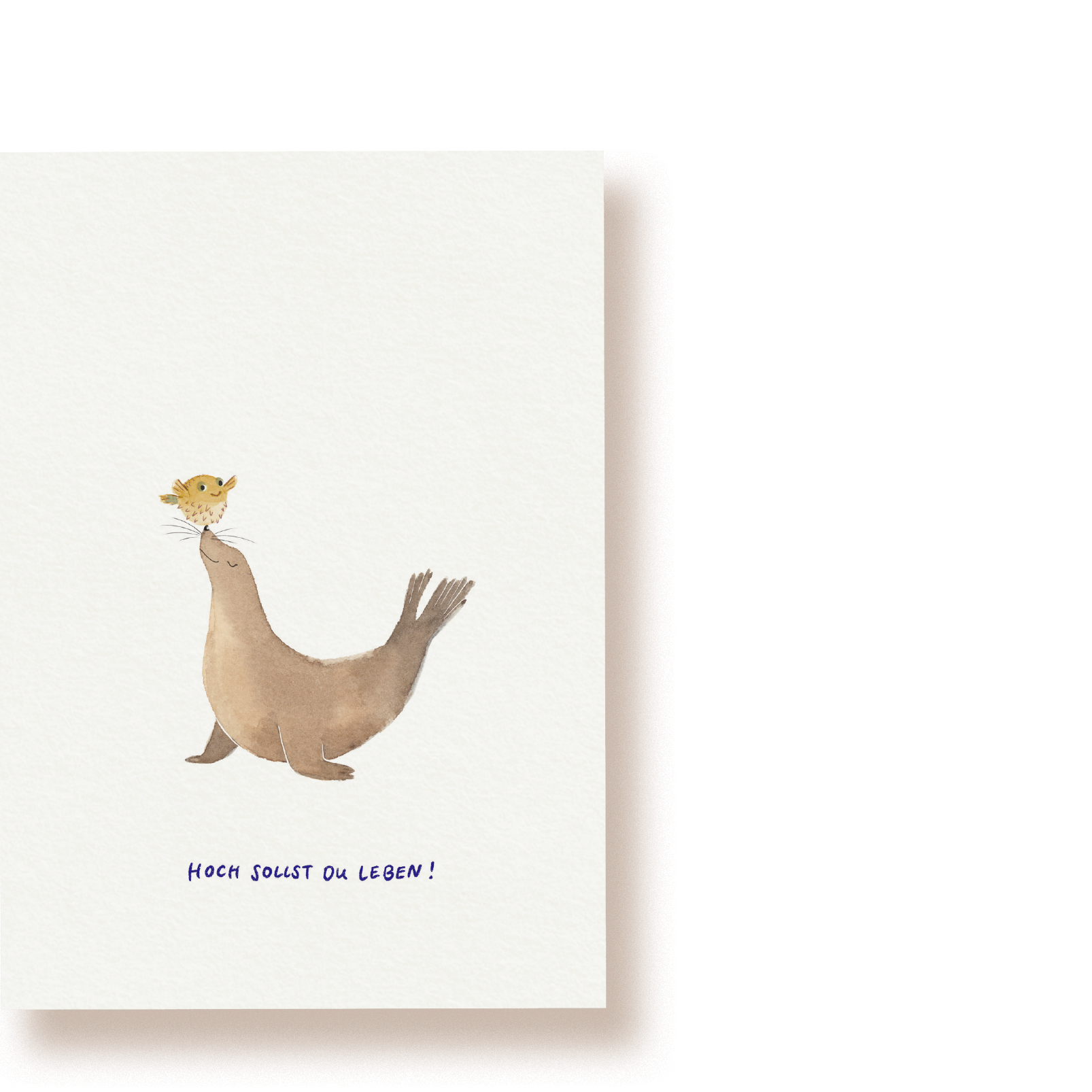 Seehund mit Kugelfisch | Postkarte