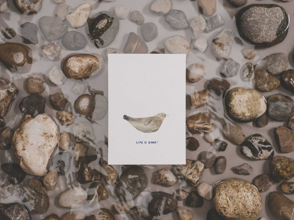 Seehund - life is good | Postkarte