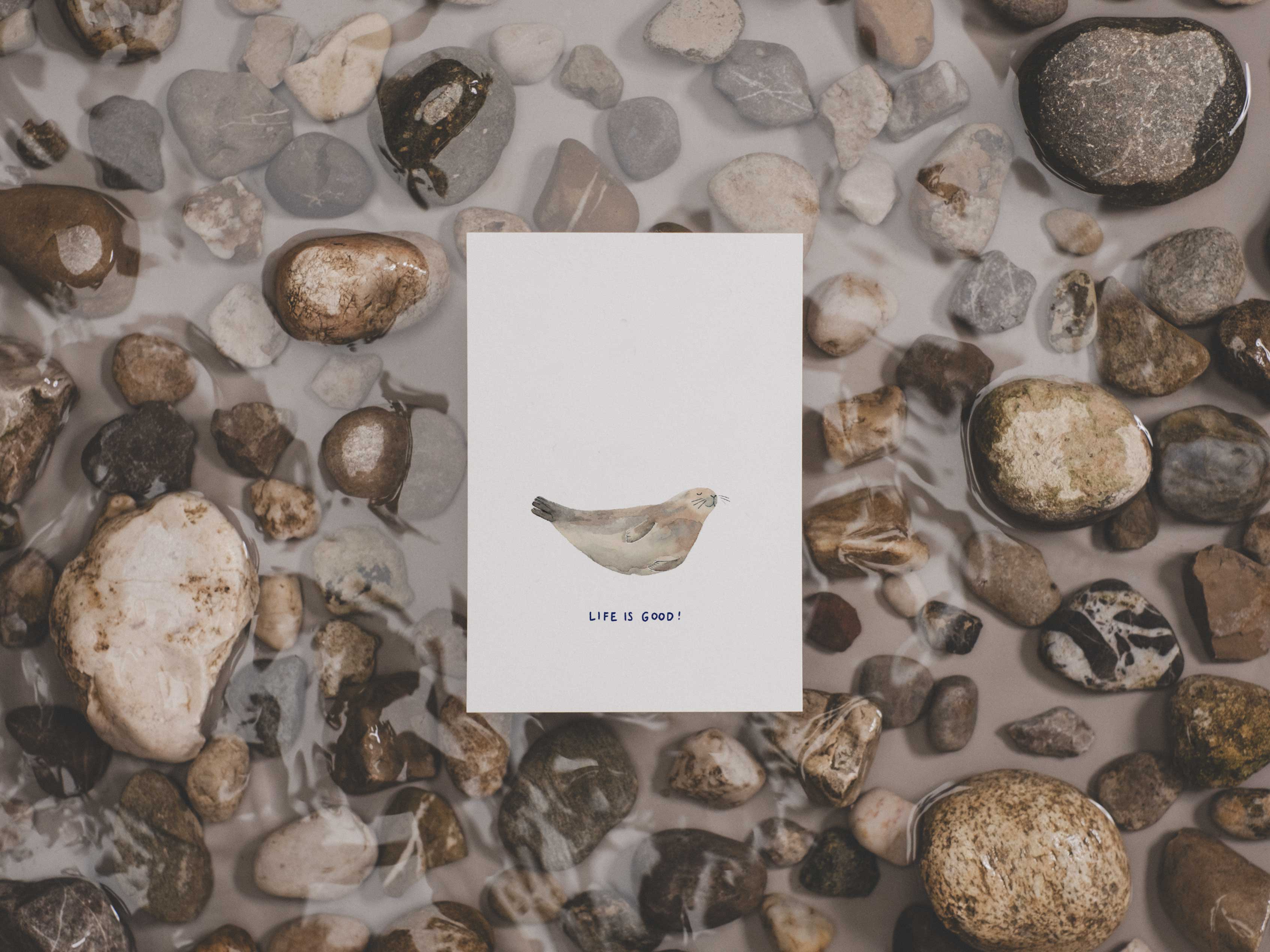 Seehund - life is good | Postkarte
