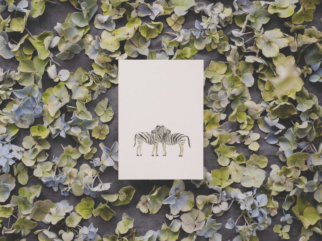 Zebras | Postkarte