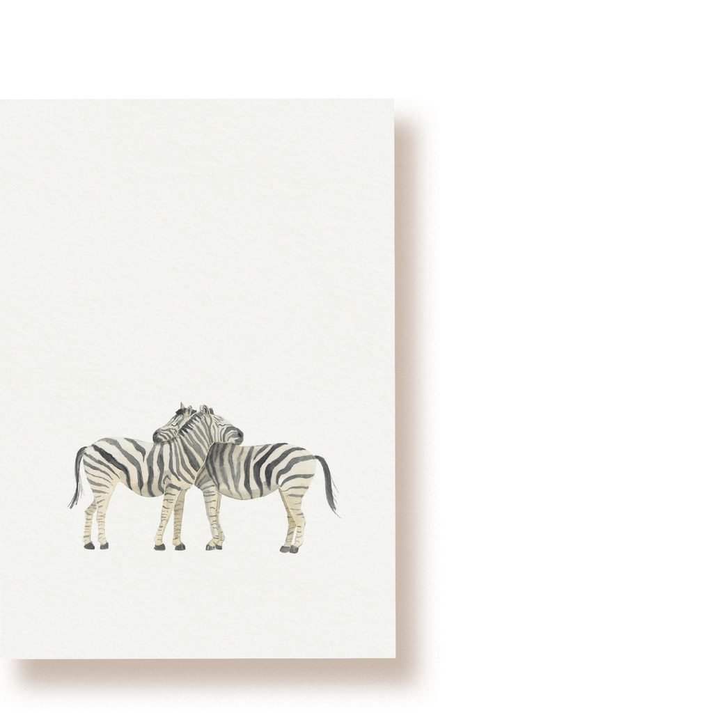 Zebras | Postkarte