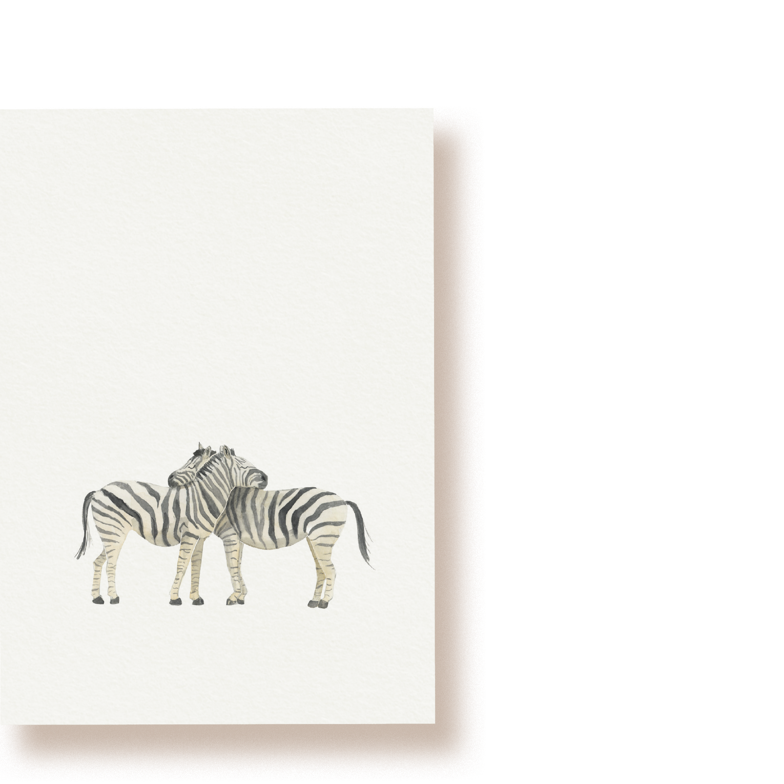 Zebras | Postkarte