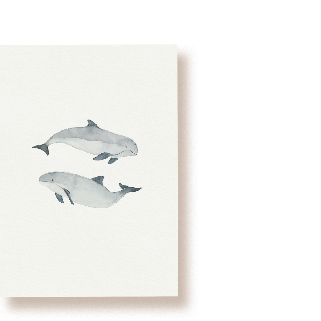 Schweinswale | Postkarte