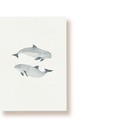 Schweinswale | Postkarte