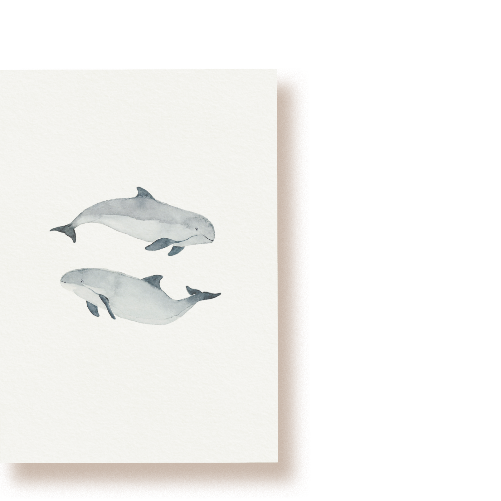 Schweinswale | Postkarte