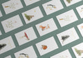 Tiny Cards Bundle 8 VE's