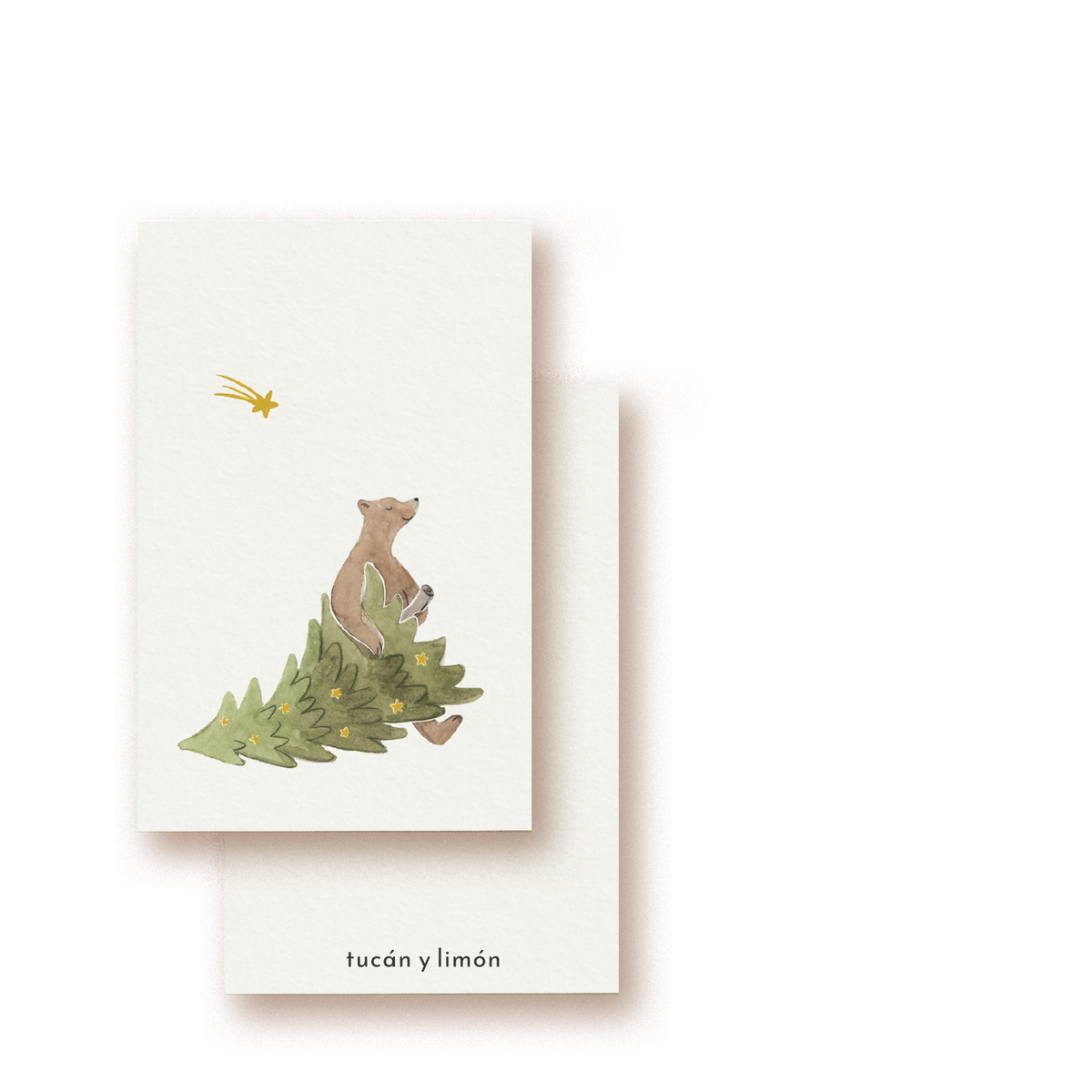 Tiny Cards Bundle 8 VE's