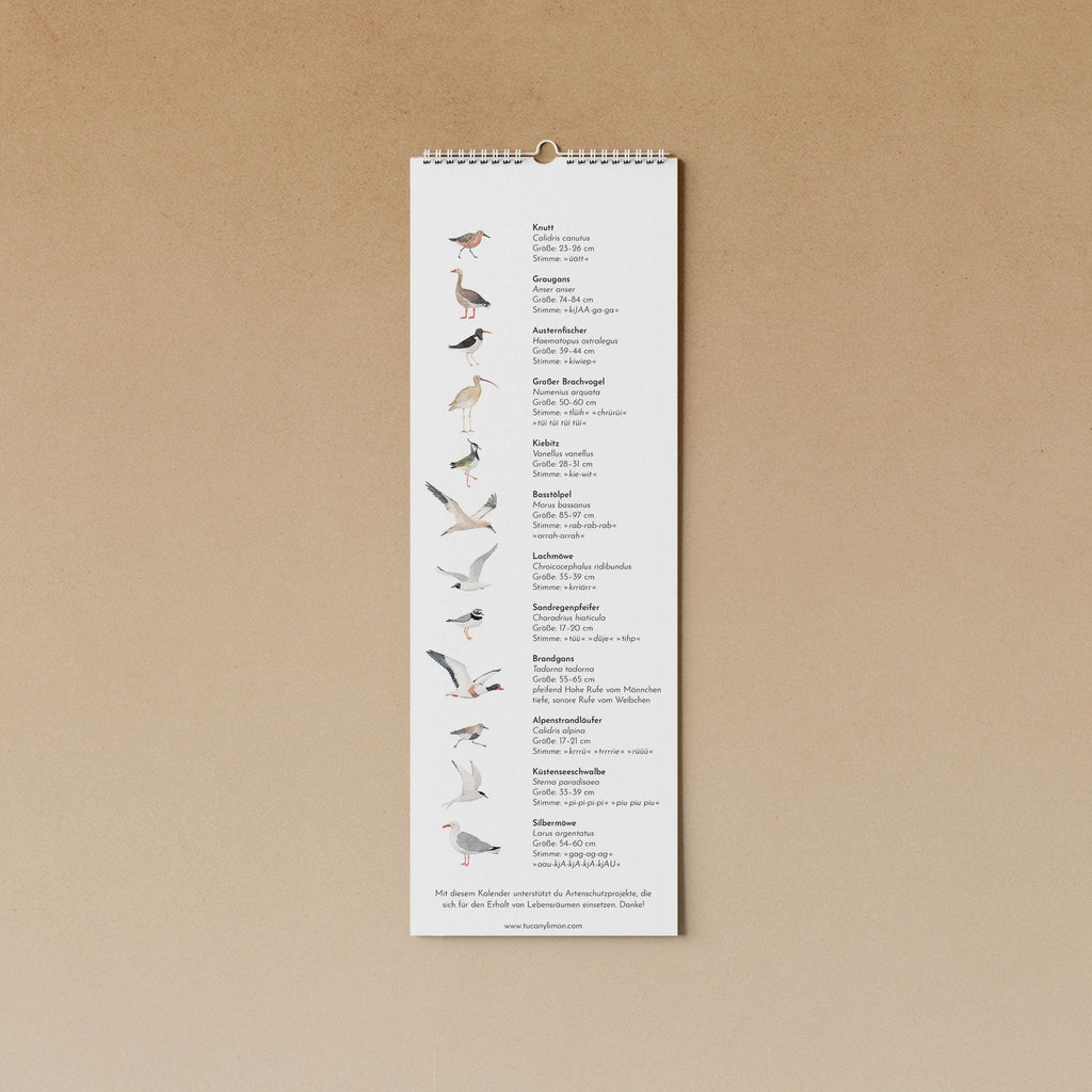 Vögel am Meer | immerwährender Kalender