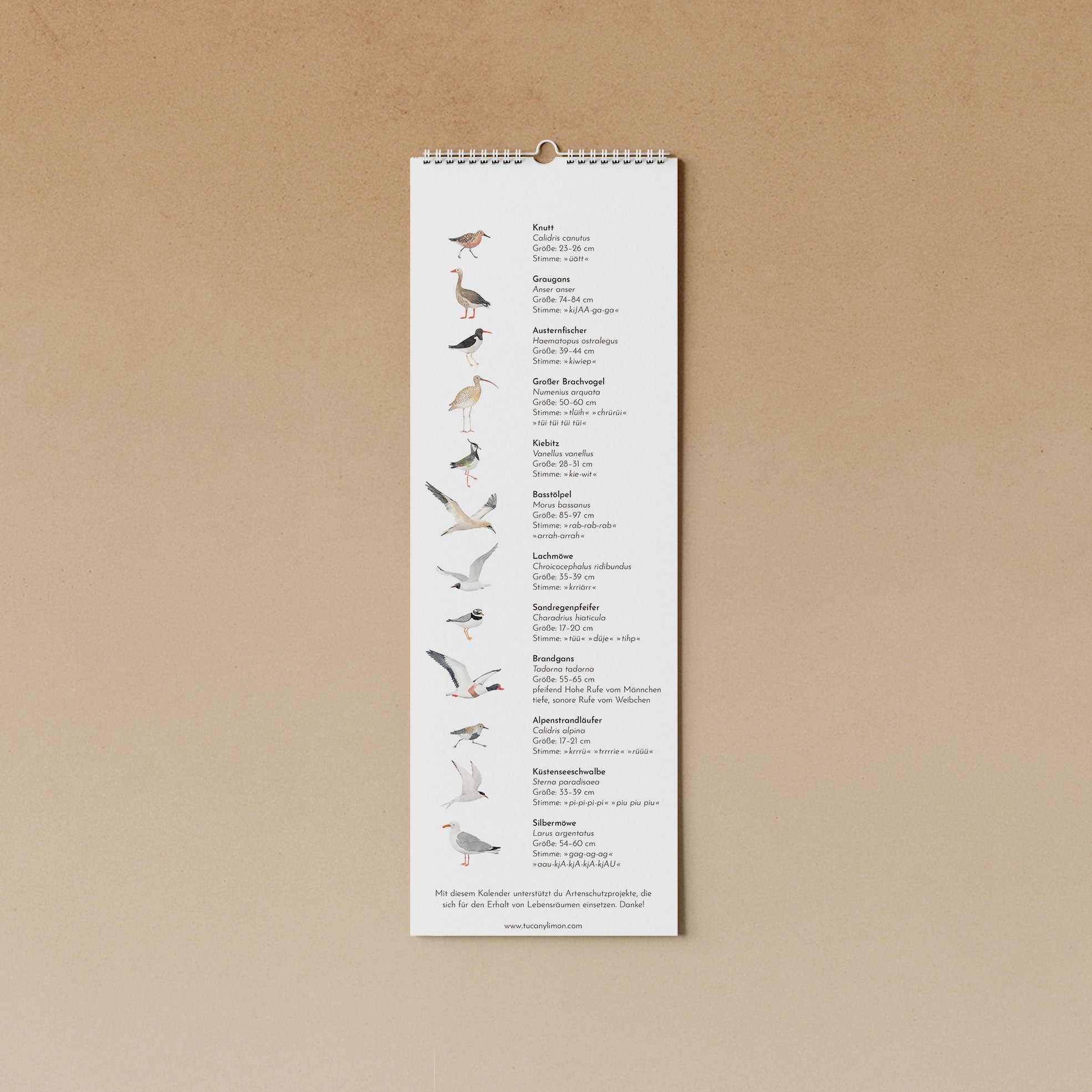 Vögel am Meer | immerwährender Kalender