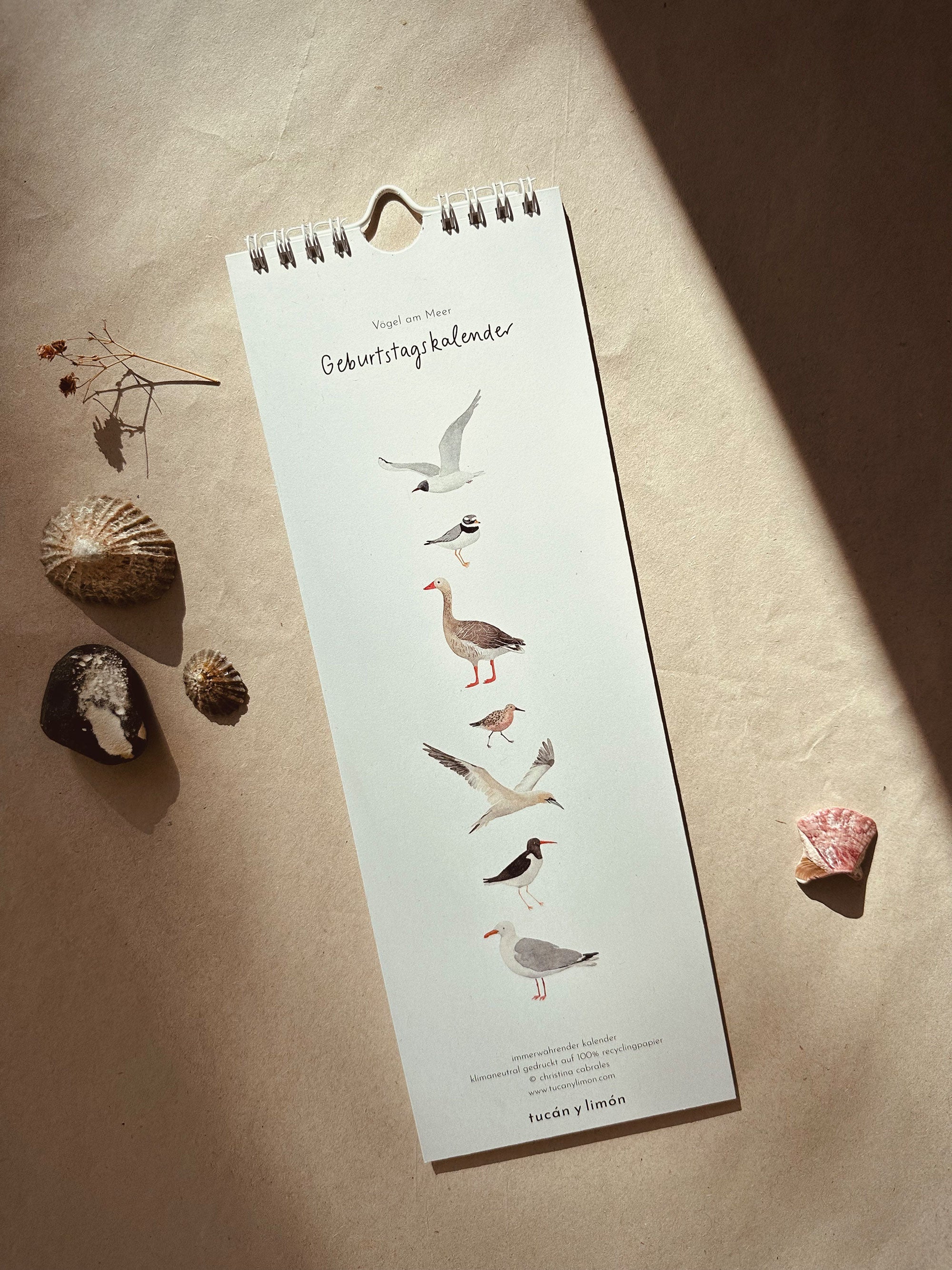 Vögel am Meer | immerwährender Kalender