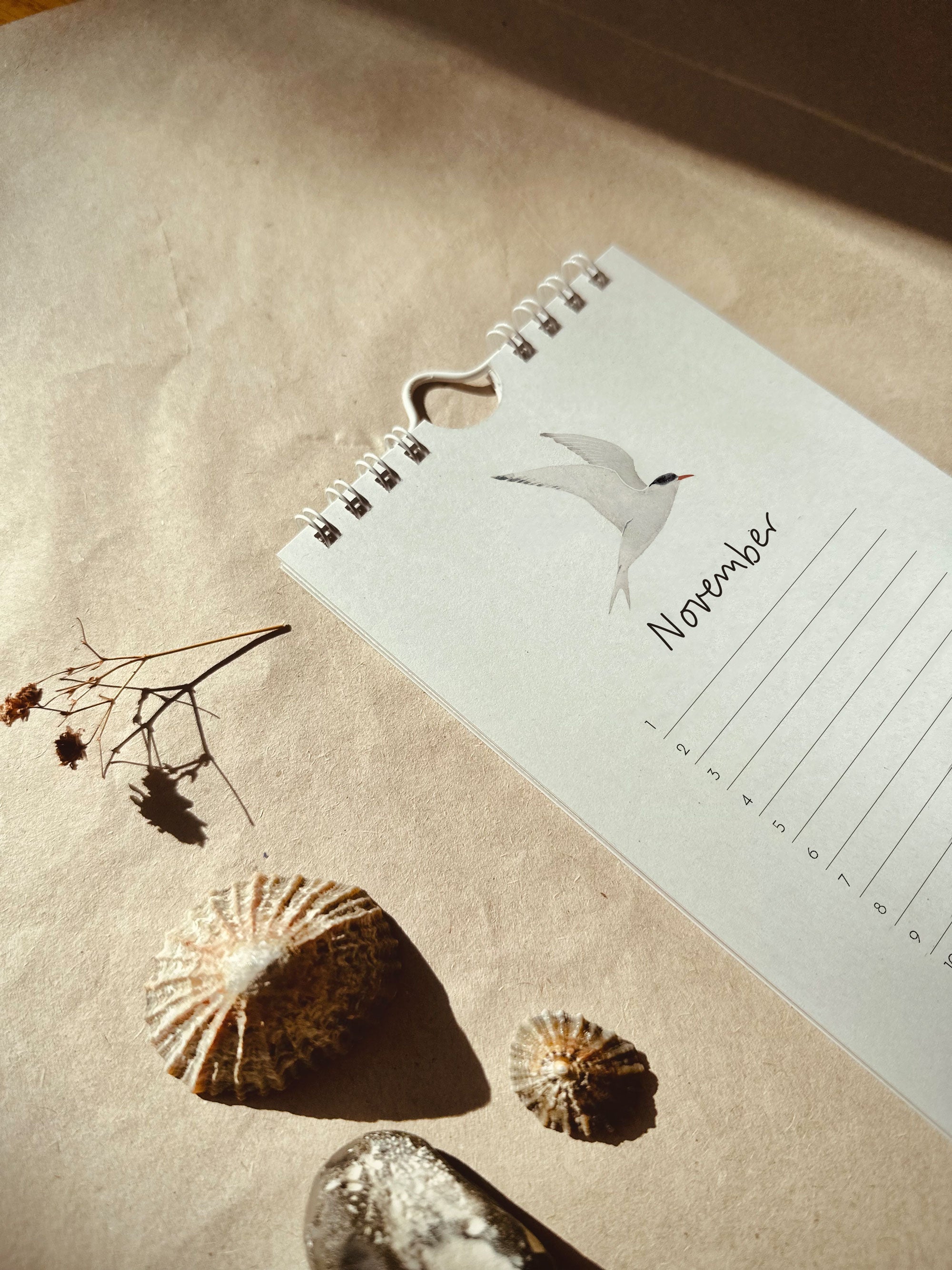 Vögel am Meer | immerwährender Kalender