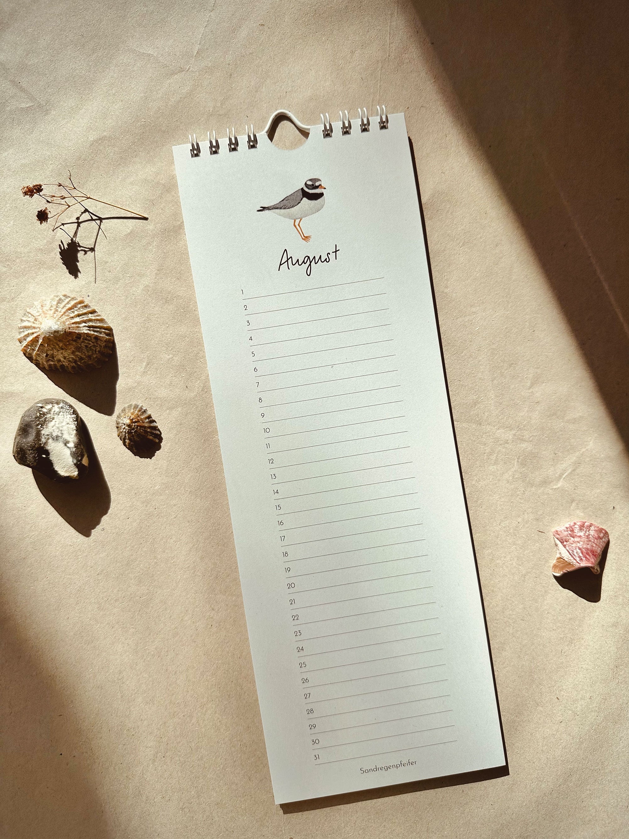 Vögel am Meer | immerwährender Kalender