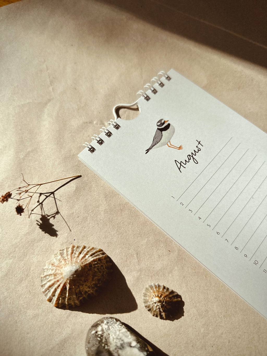 Vögel am Meer | immerwährender Kalender