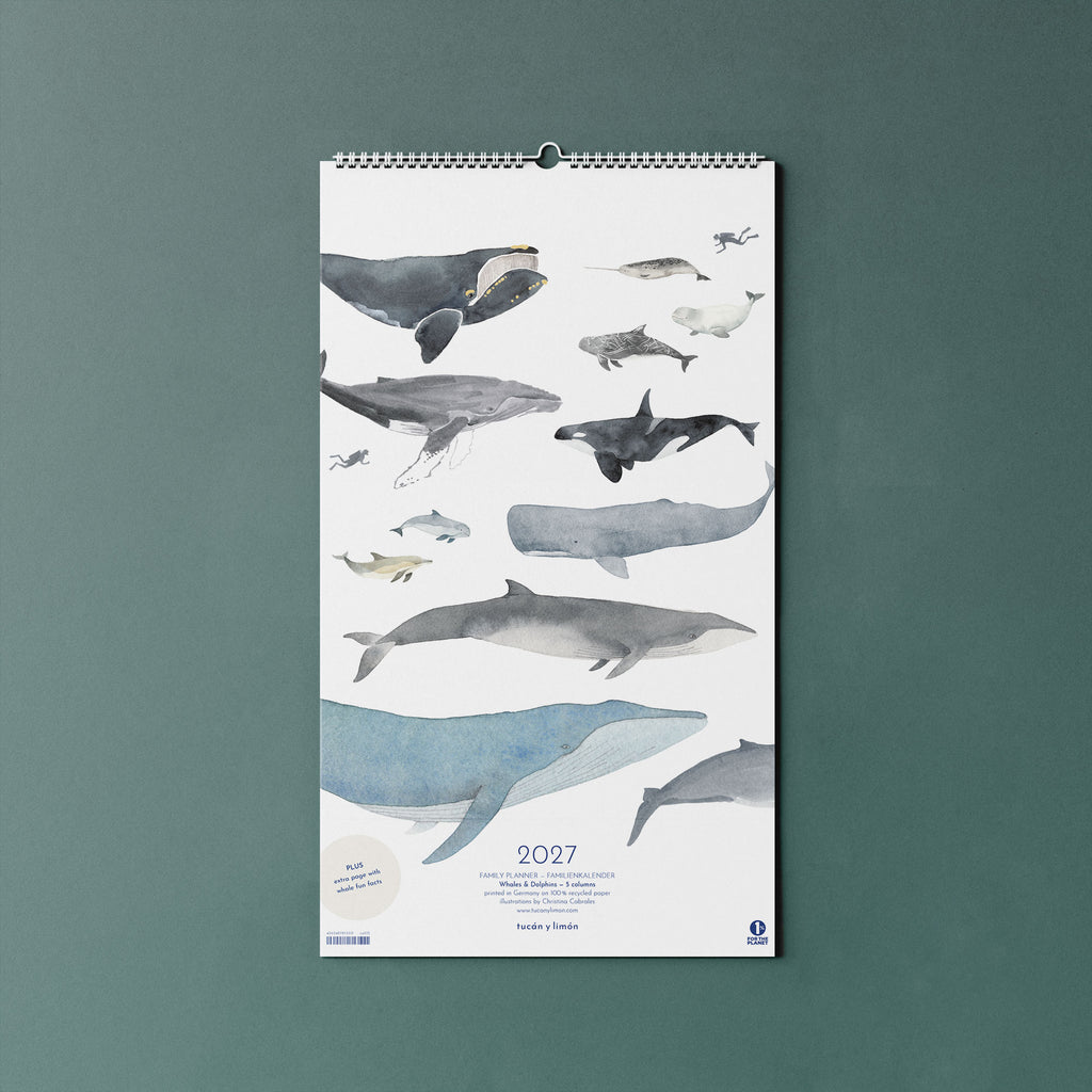 2027 Familienkalender Wale und Delfine