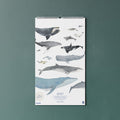 2027 Familienkalender Wale und Delfine