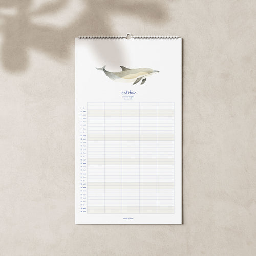 2027 Familienkalender Wale und Delfine