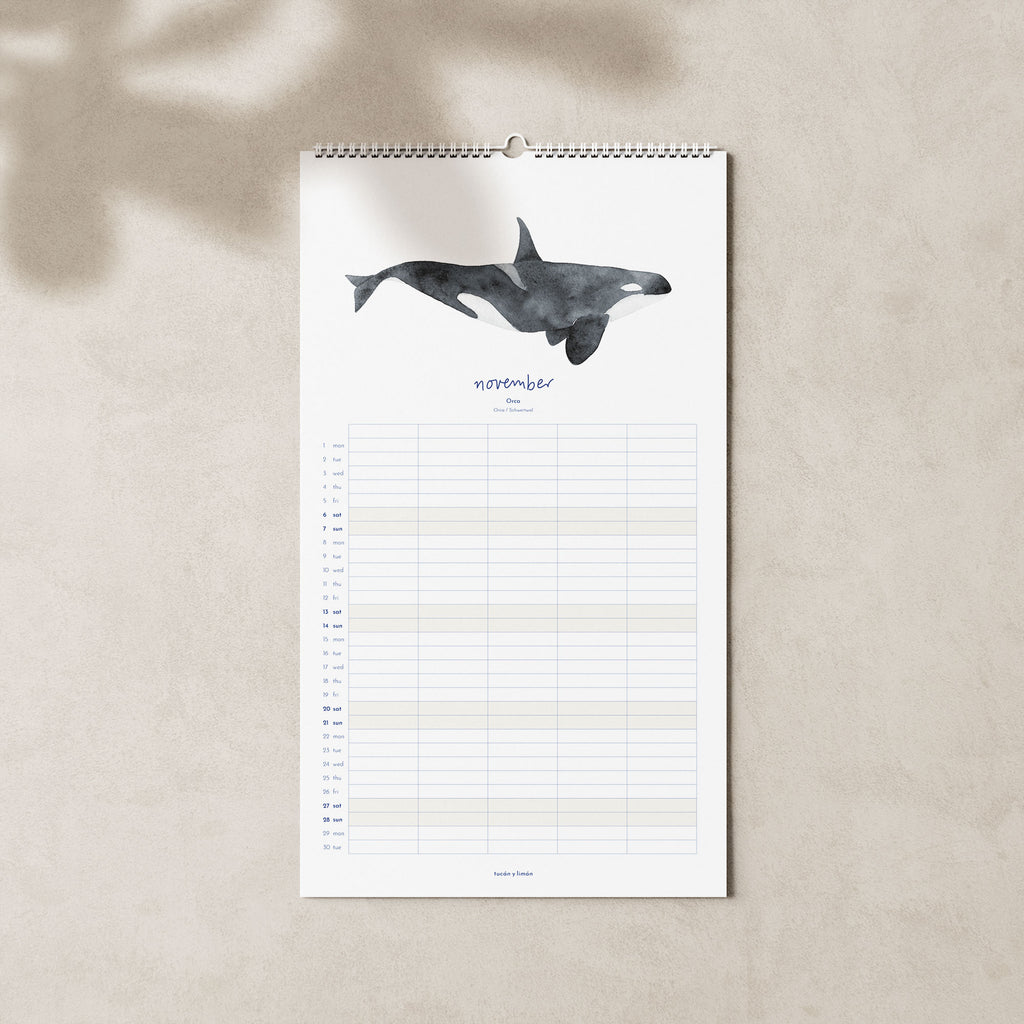 2027 Familienkalender Wale und Delfine