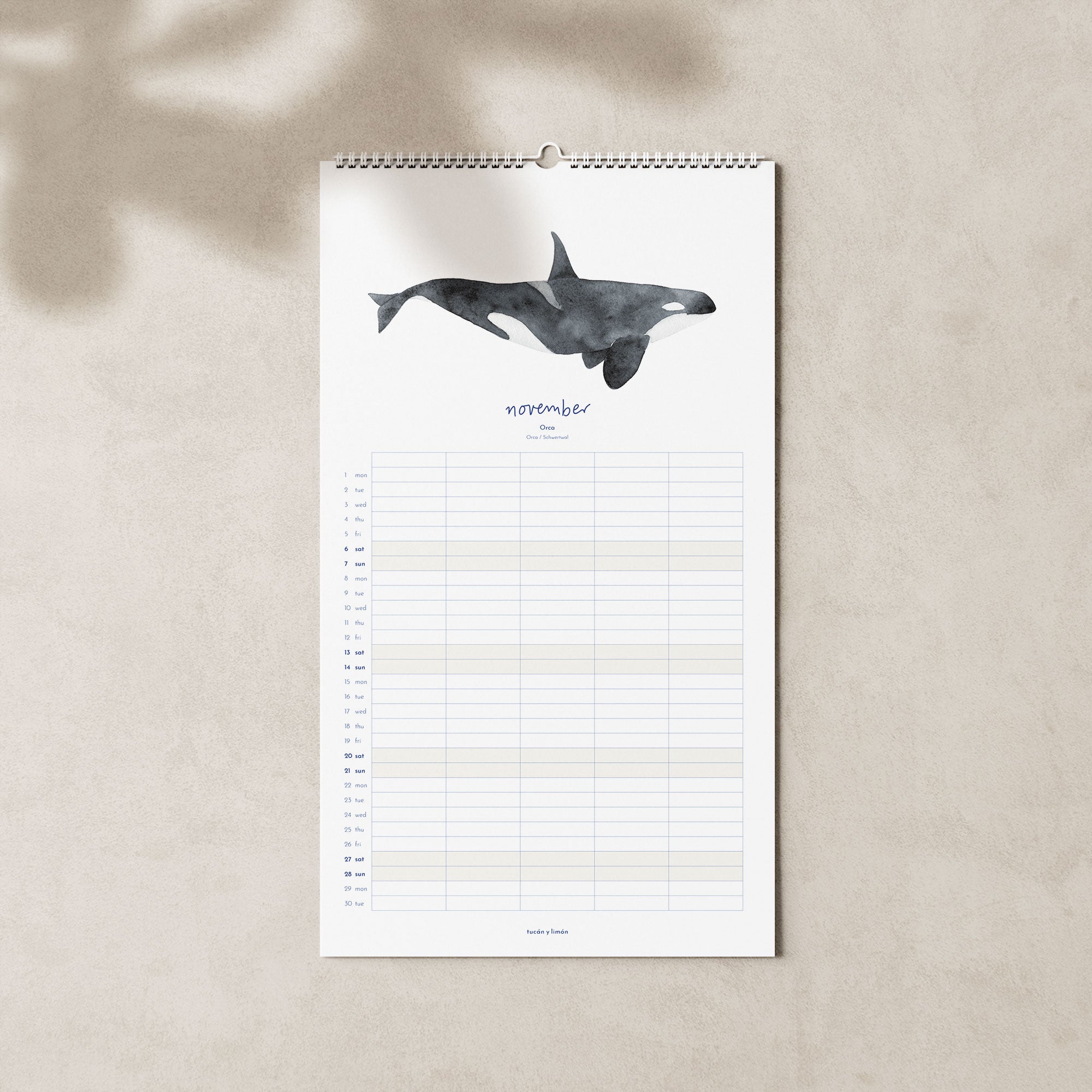2027 Familienkalender Wale und Delfine