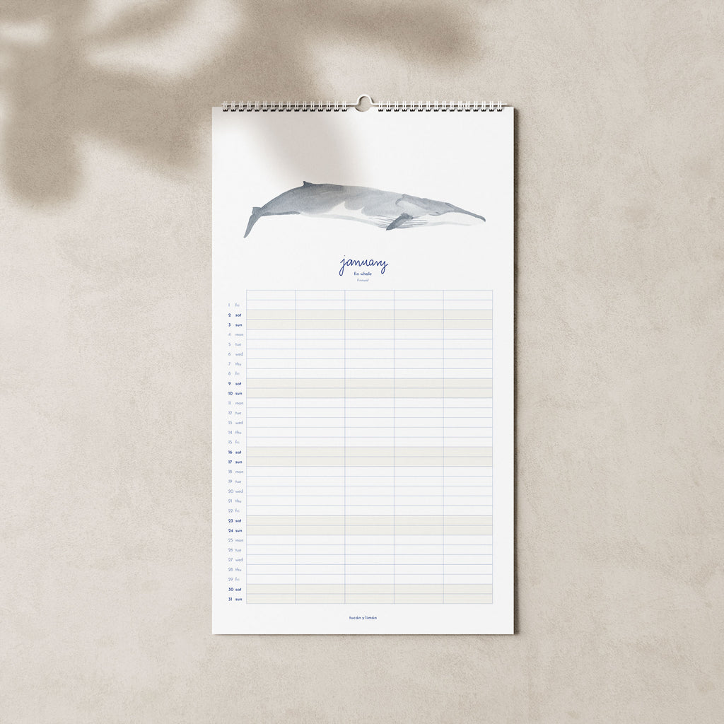 2027 Familienkalender Wale und Delfine