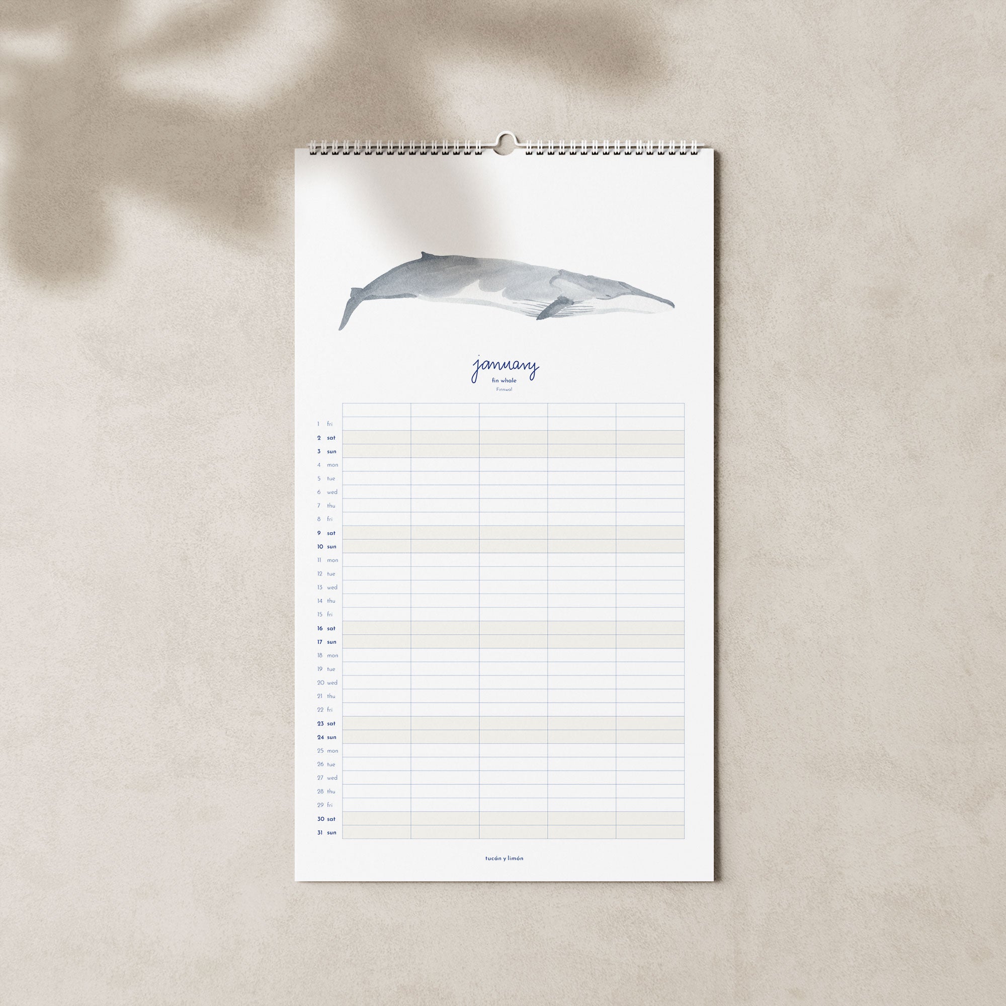 2027 Familienkalender Wale und Delfine