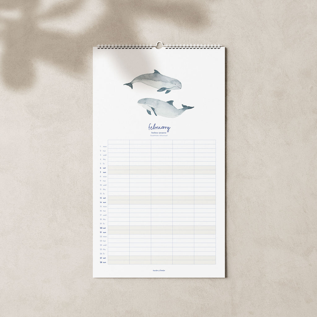 2027 Familienkalender Wale und Delfine