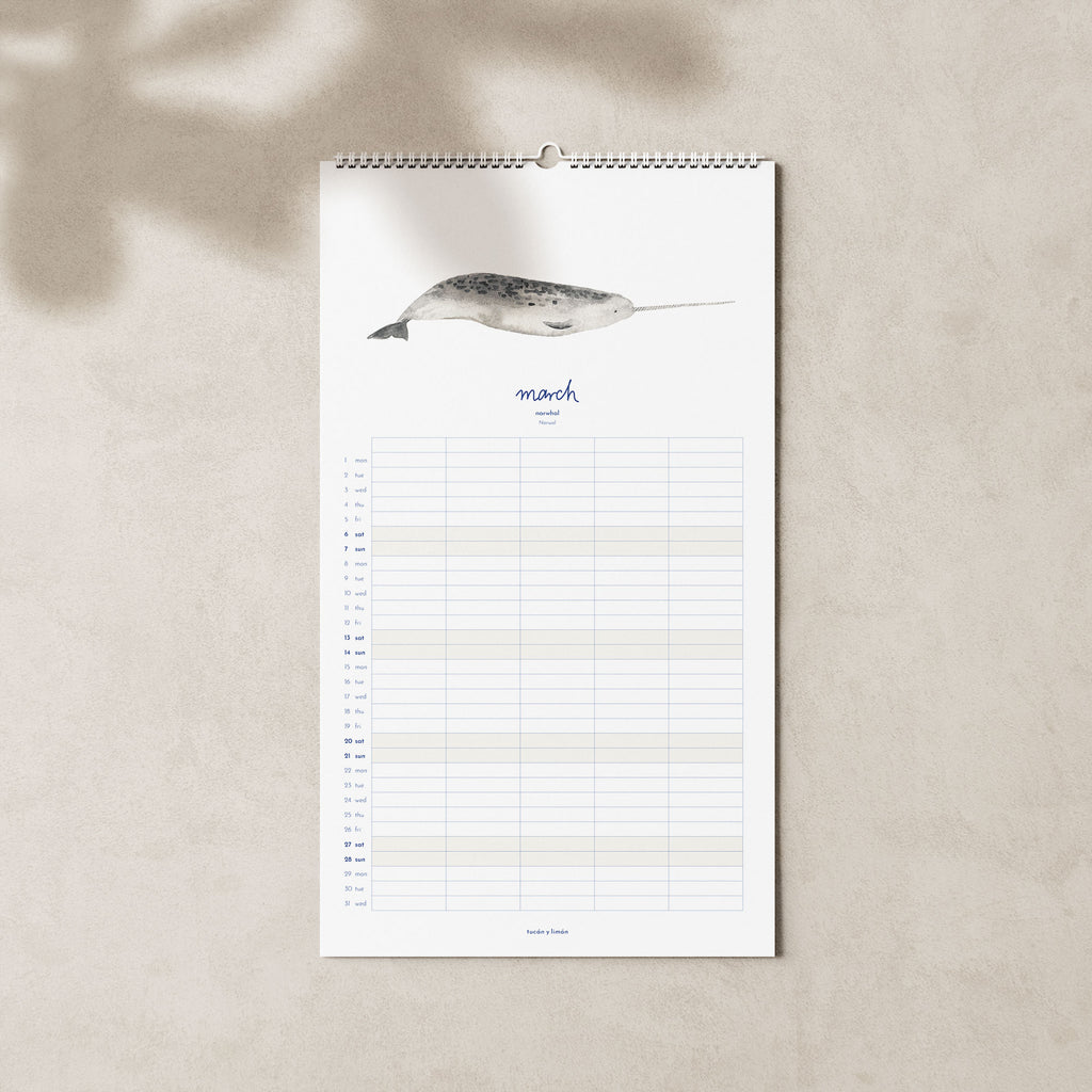 2027 Familienkalender Wale und Delfine