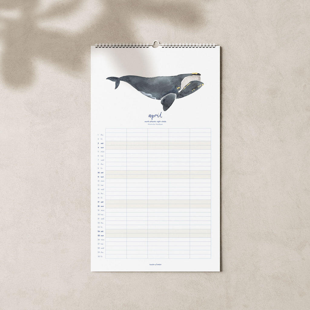 2027 Familienkalender Wale und Delfine