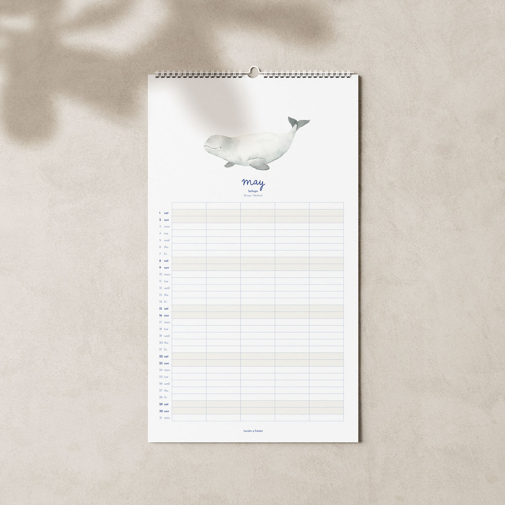 2027 Familienkalender Wale und Delfine