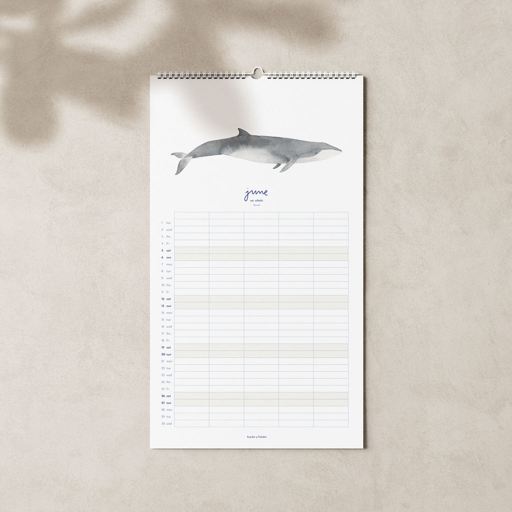 2027 Familienkalender Wale und Delfine