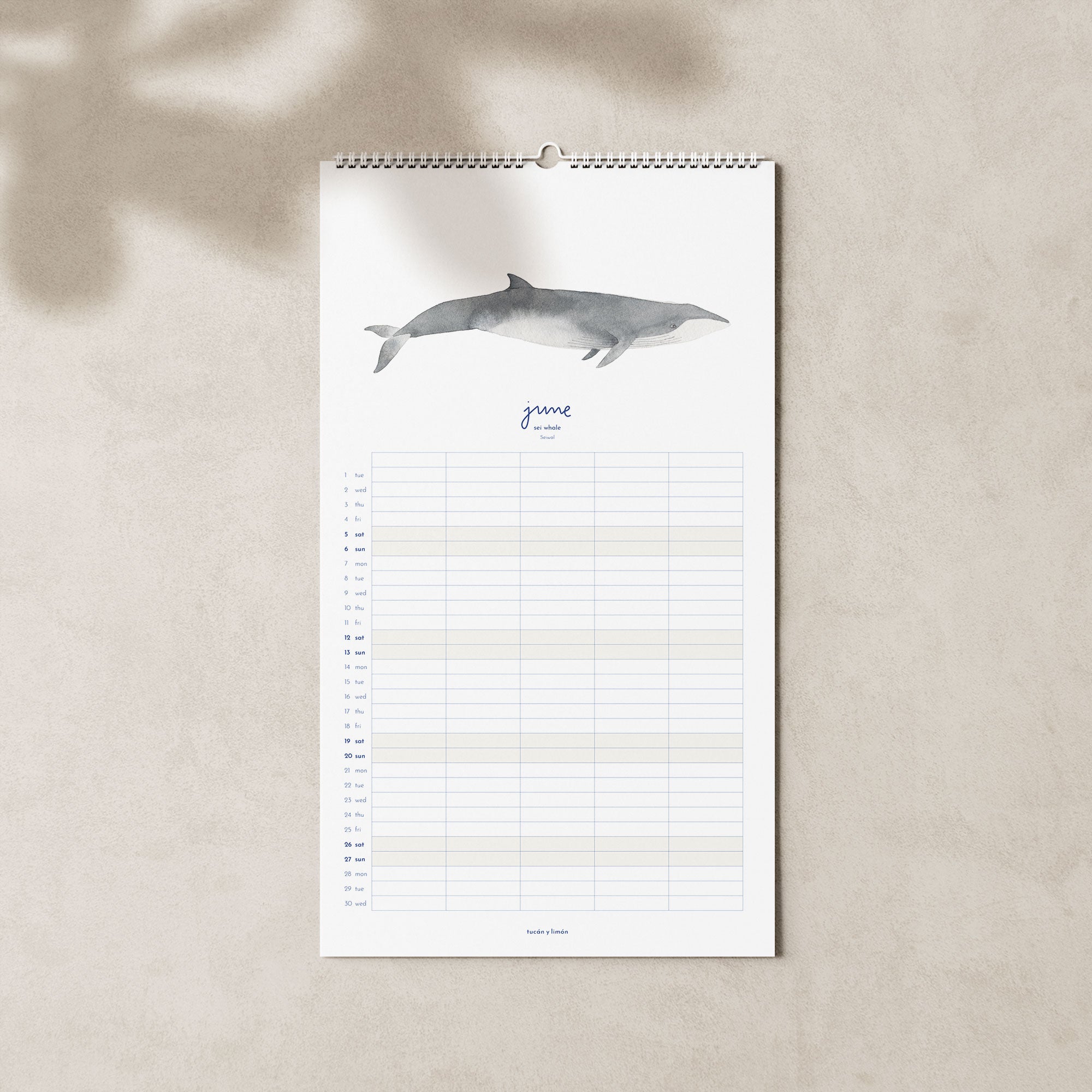 2027 Familienkalender Wale und Delfine