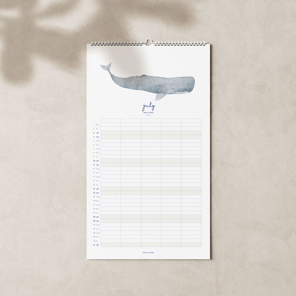 2027 Familienkalender Wale und Delfine