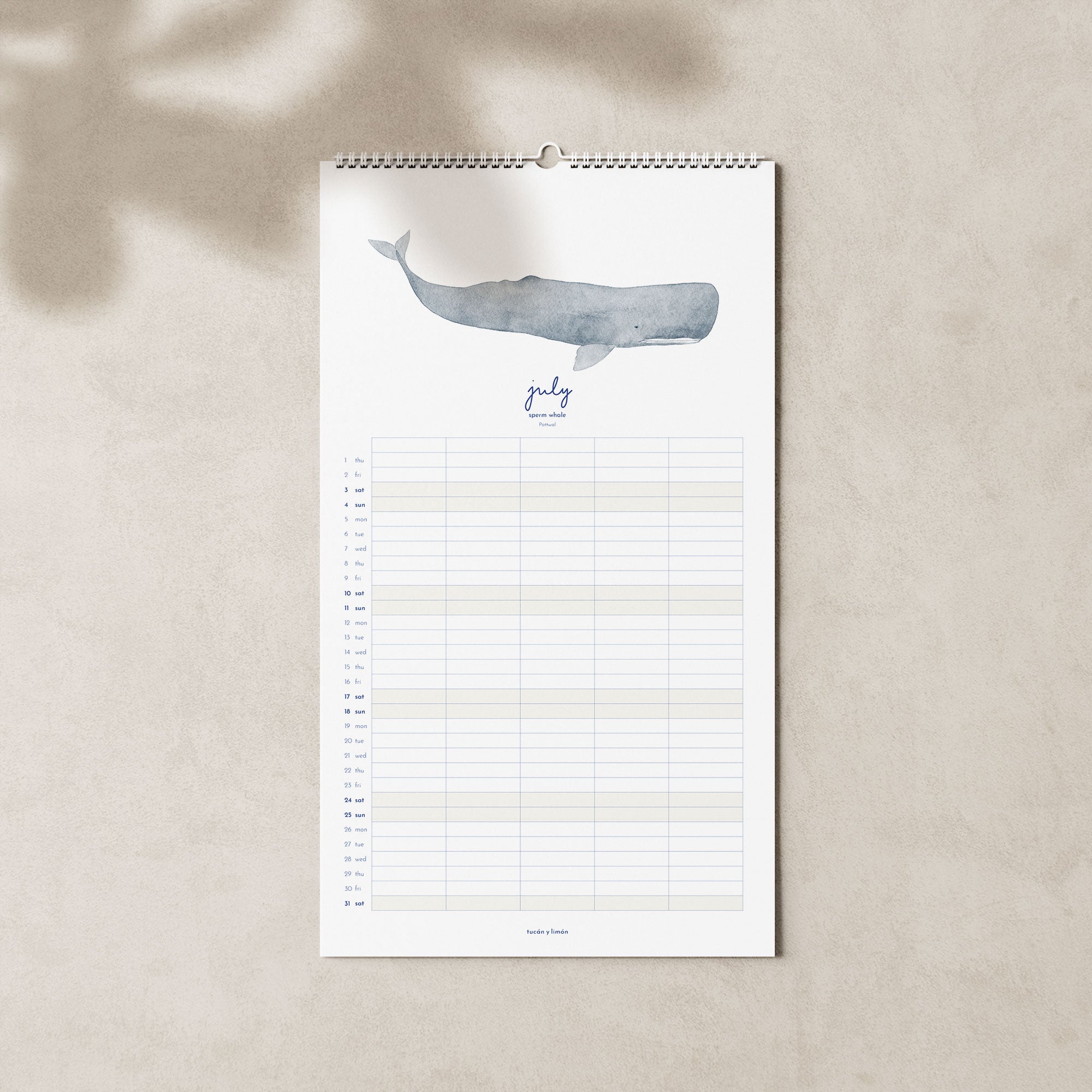 2027 Familienkalender Wale und Delfine