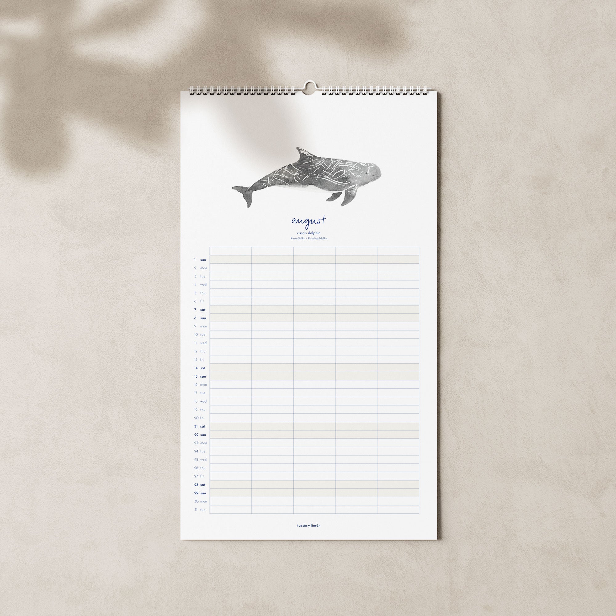 2027 Familienkalender Wale und Delfine