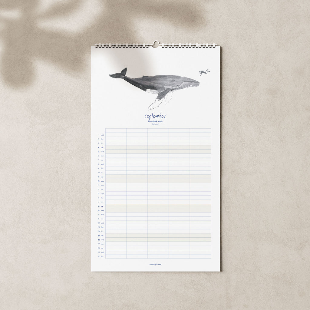 2027 Familienkalender Wale und Delfine