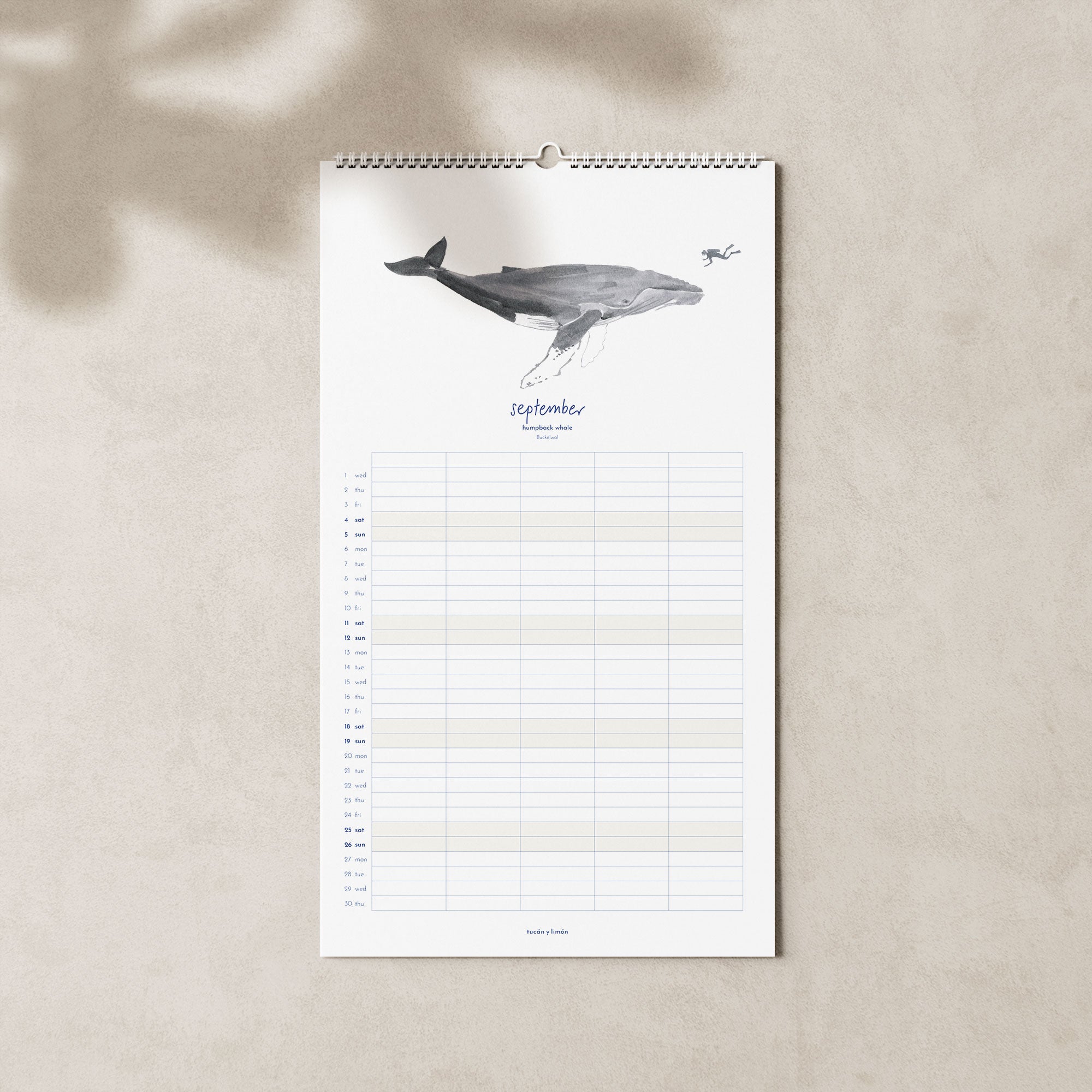 2027 Familienkalender Wale und Delfine